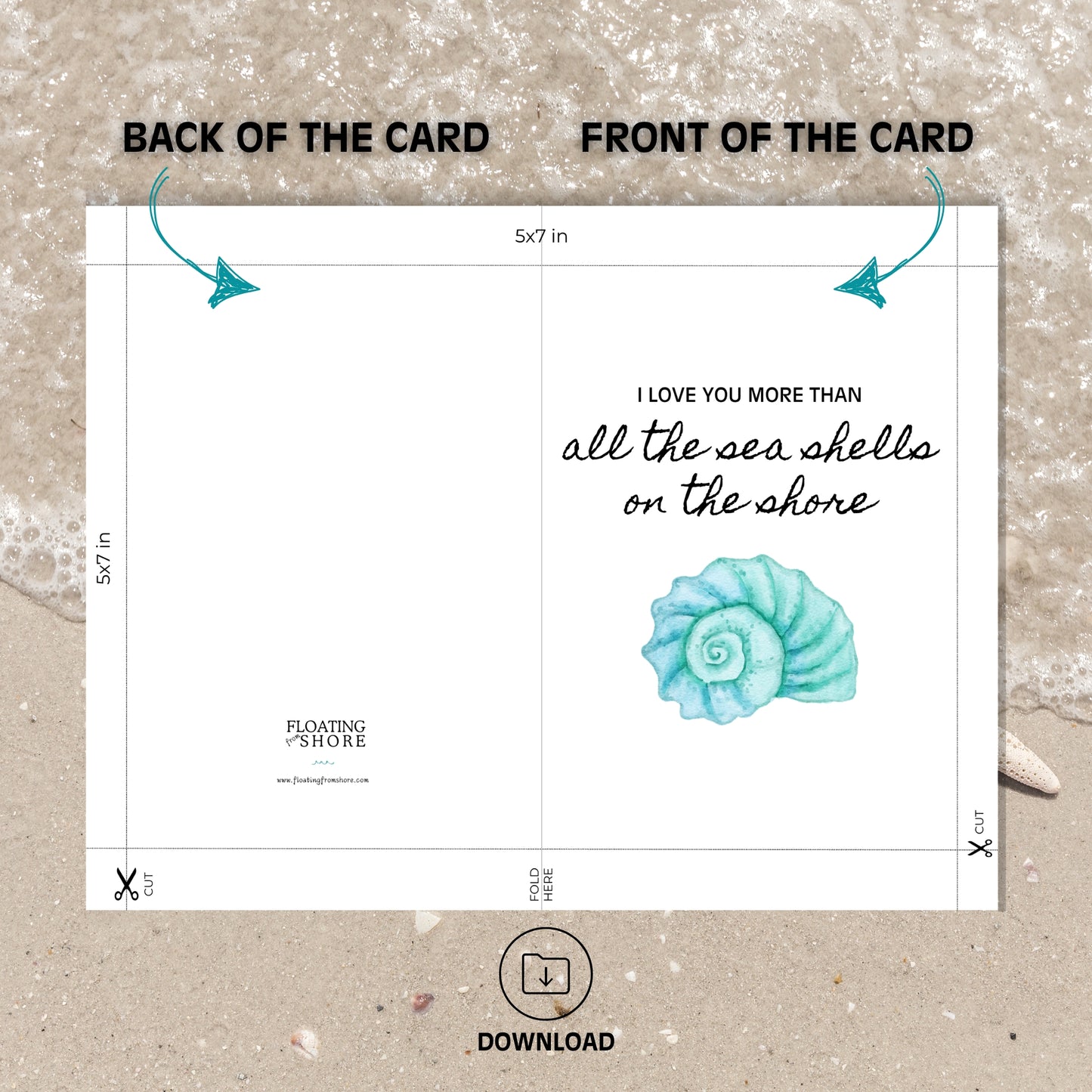 Love You More Than Sea Shells Valentines Card
