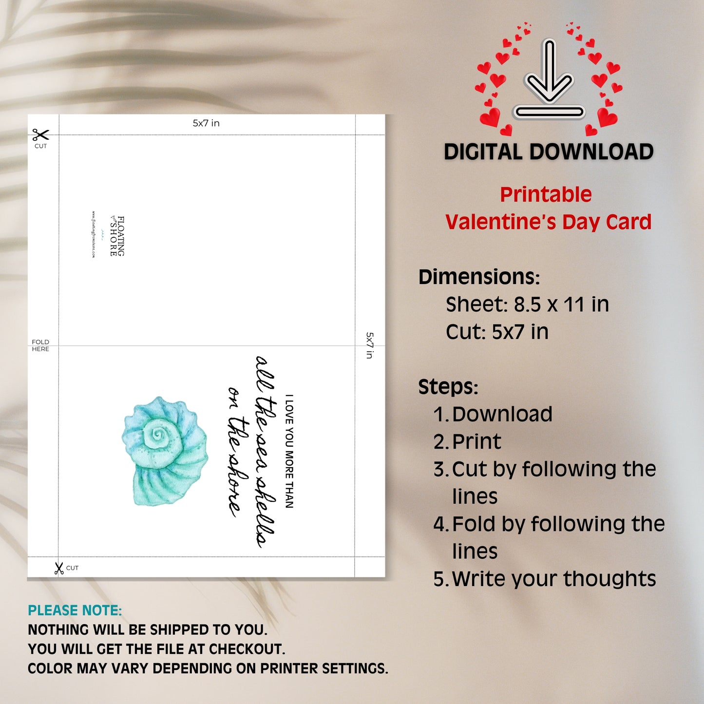 Love You More Than Sea Shells Valentines Card